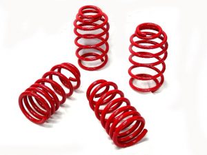 V-Maxx 35 VW 849 45mm/40mm Lowering Spring Kit