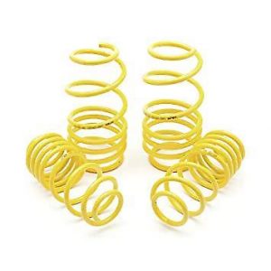 Apex 30mm Lowering Springs Ford Fiesta Mk5 00-01 - Reduced To Clear