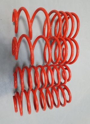 Pro Sport 60mm/50mm Lowering Springs VW Polo 6N  - Reduced To Clear
